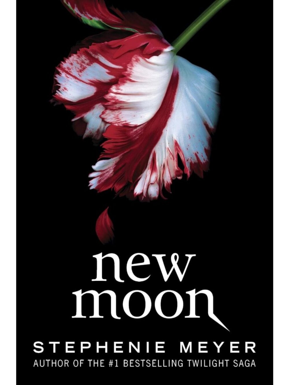 New Moon Twilight Saga Book - Fantasy Romance, Young Adult Fiction, Adventure